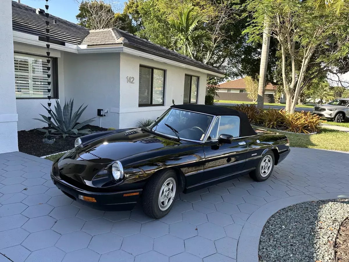 1991 Alfa Romeo Spider