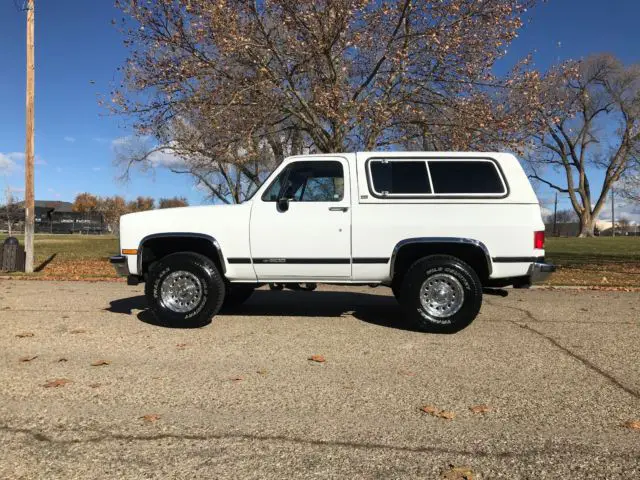 1991 Chevrolet Blazer V-10