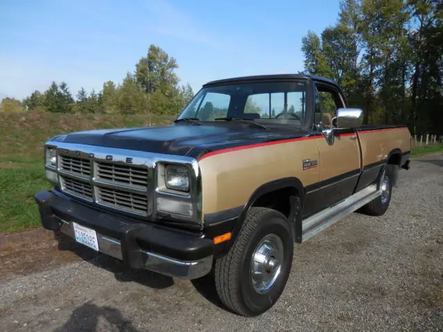 1991 Dodge Other Pickups LE