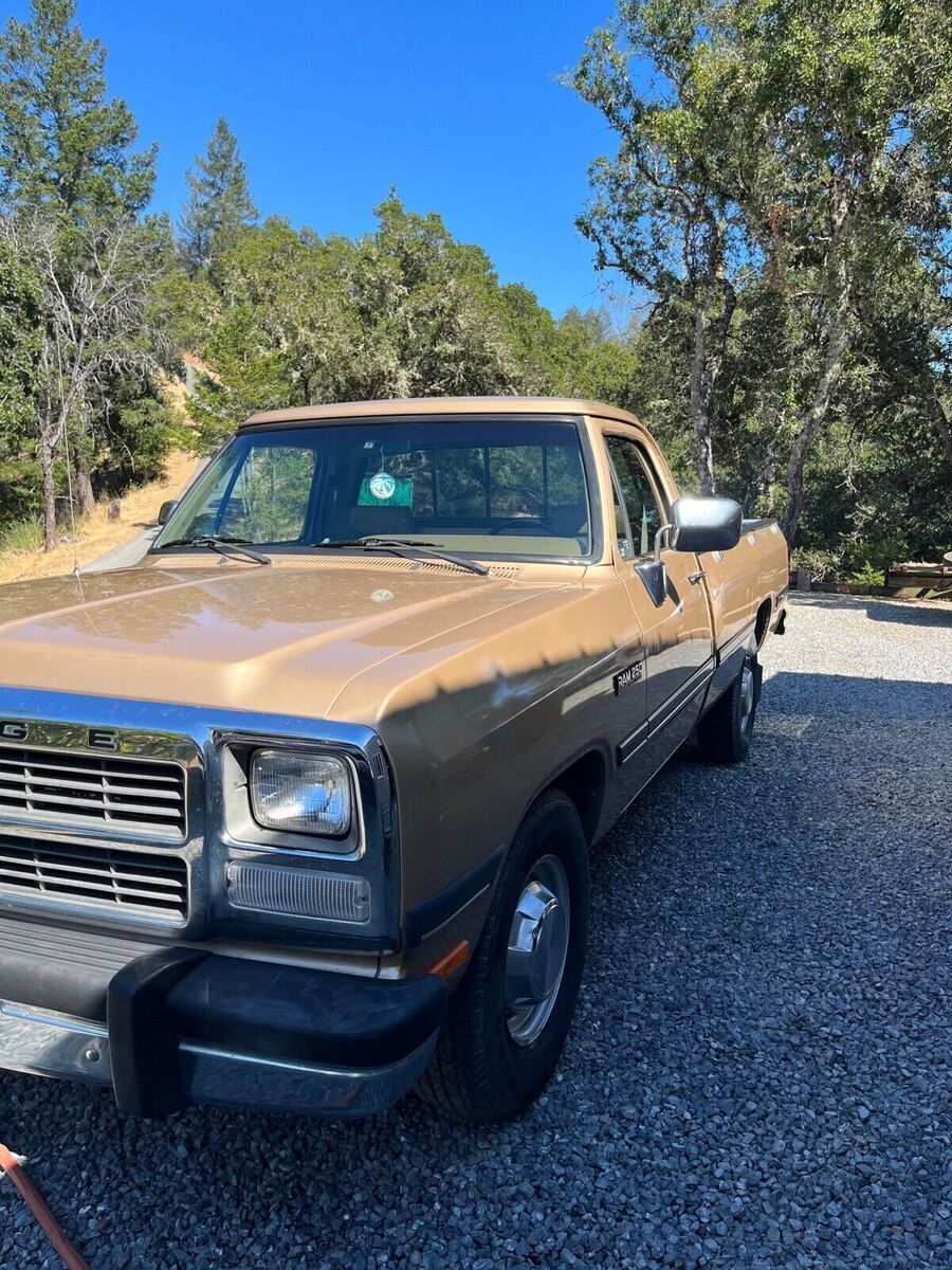 1991 Dodge Other Pickups D200