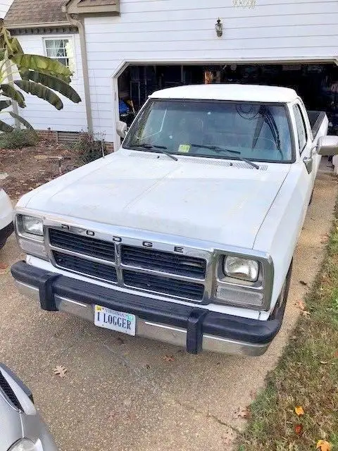 1991 Dodge Other Pickups Base Extended Cab Pickup 2-Door