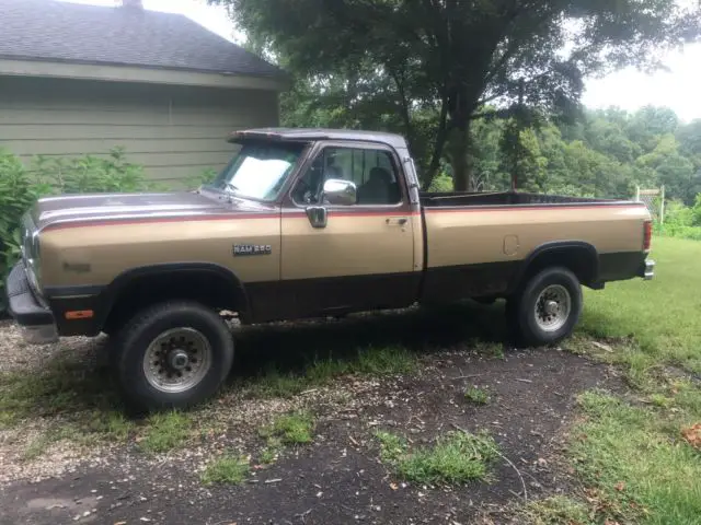 1991 Dodge Other Pickups