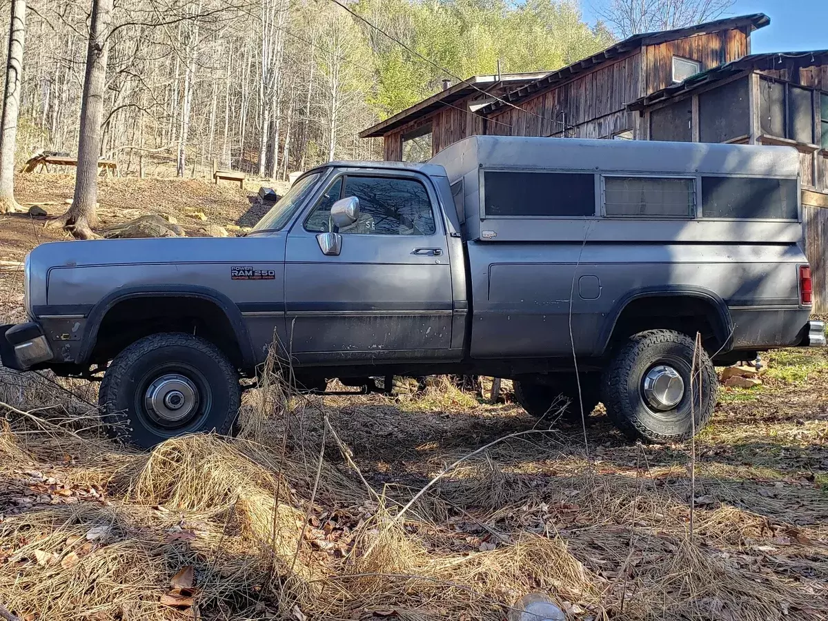 1992 Dodge Other Pickups W200