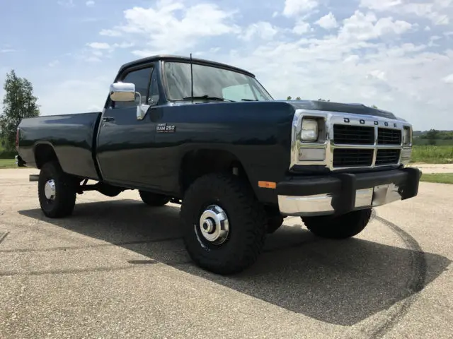 1992 Dodge Other Pickups LE