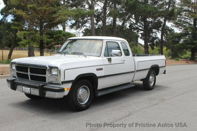 1993 Dodge Other Pickups Club Cab 149" WB