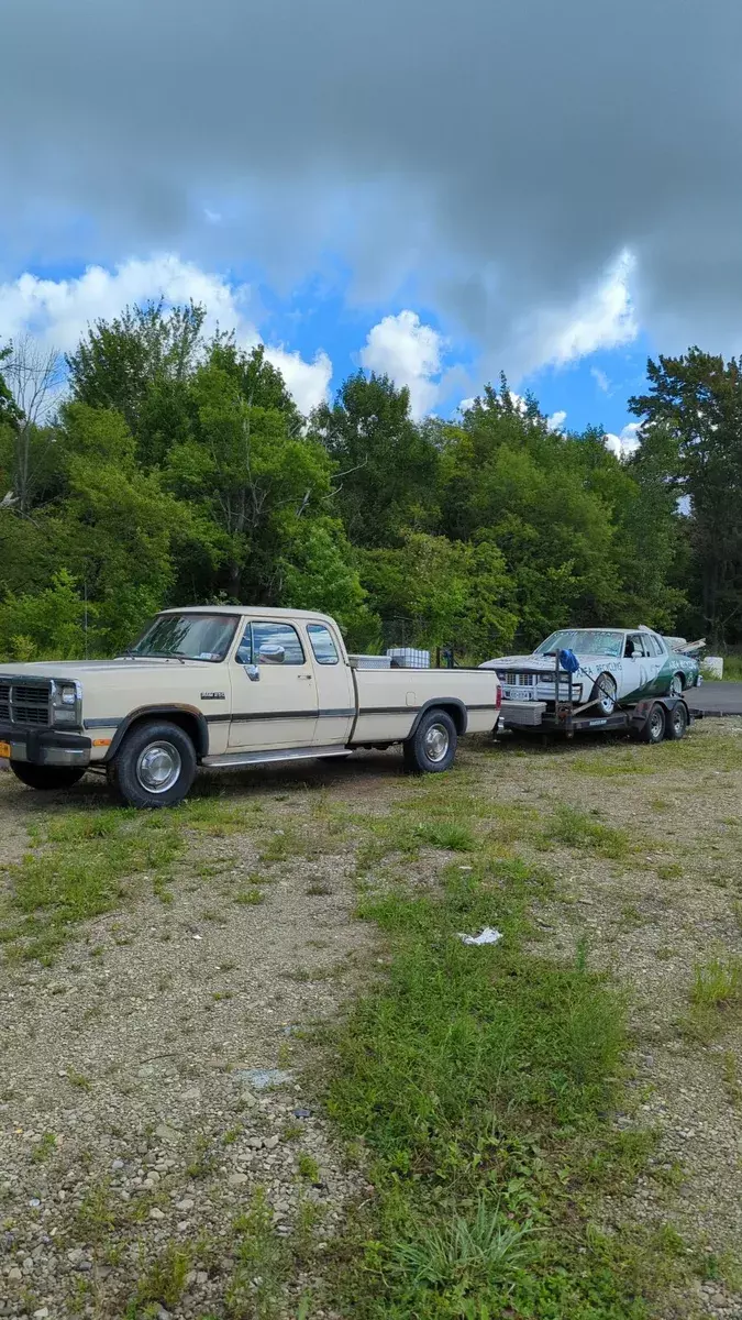 1993 Dodge Other Pickups D200