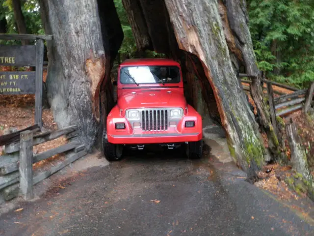 1993 Jeep Wrangler