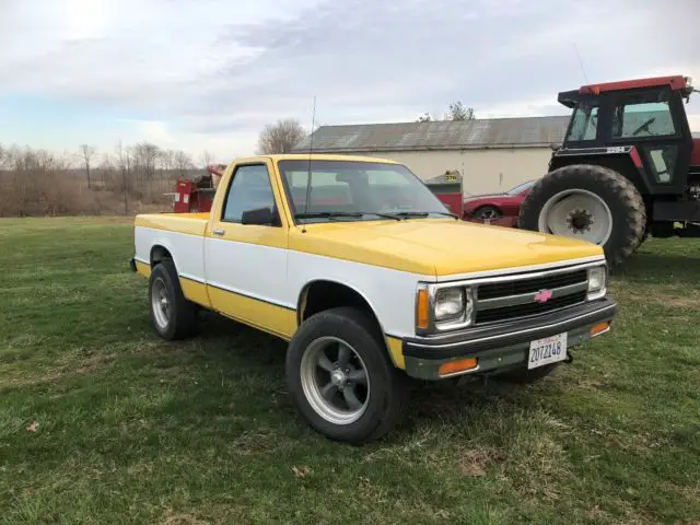 1993 Chevrolet S-10