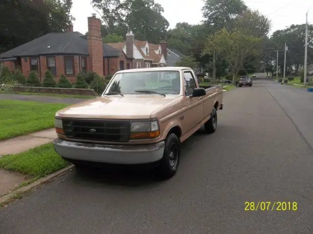 1994 Ford F-150 Accent Stripes