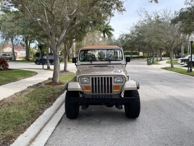 1994 Jeep Wrangler YJ