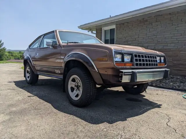 1981 AMC Other