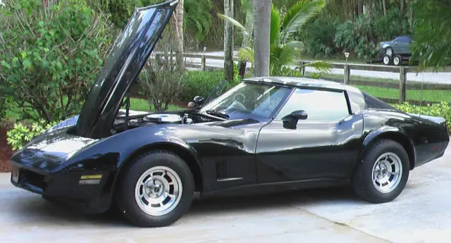 1981 Chevrolet Corvette Coupe 2-Door