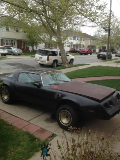 1981 Pontiac Trans Am transam