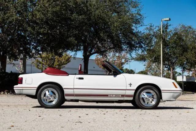 1984 Ford Mustang GT350 Anniversary Conv.