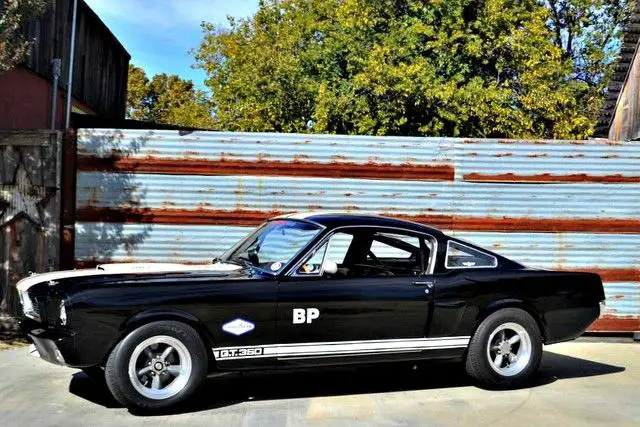 1966 Shelby