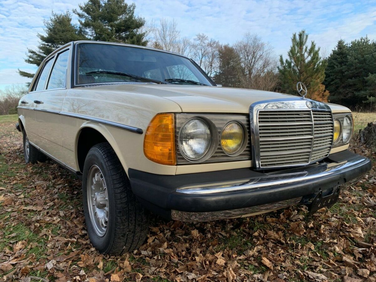 1982 Mercedes-Benz 300-Series DT