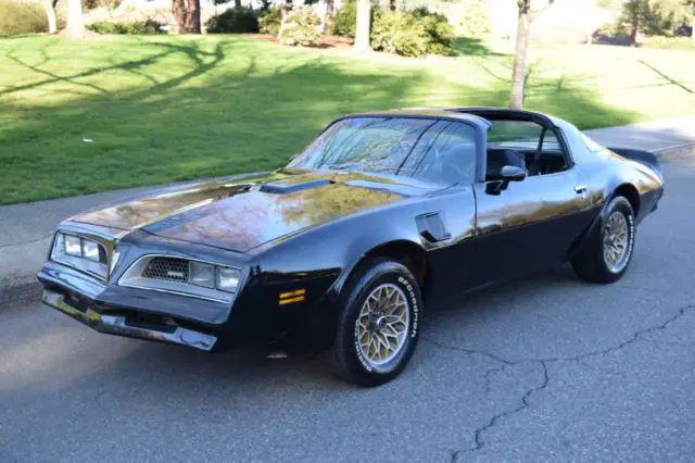 1977 Pontiac Trans Am Firebird  Special Edition SE Y82