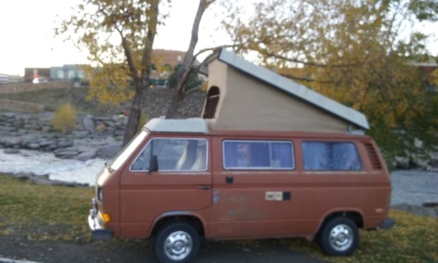 1980 Volkswagen Bus/Vanagon 45123- original-miles