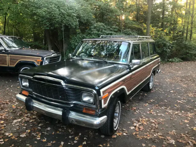 1983 Jeep Wagoneer