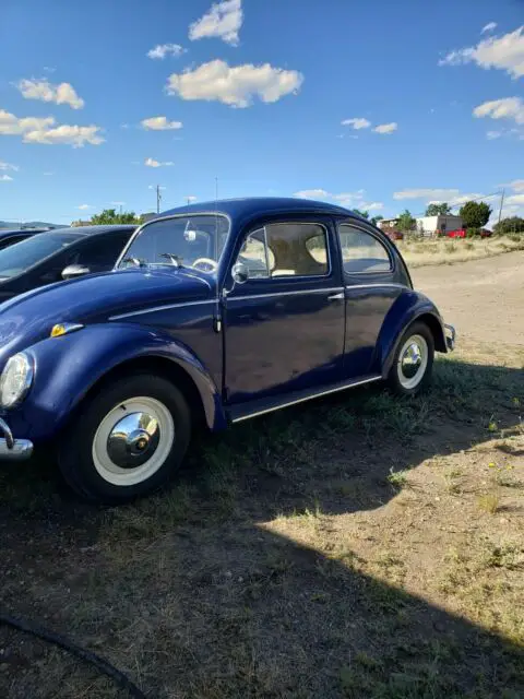 1959 Volkswagen Beetle - Classic