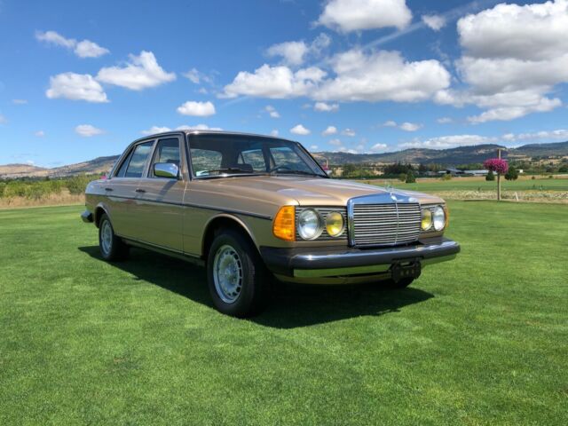 1984 Mercedes-Benz 300-Series Leather