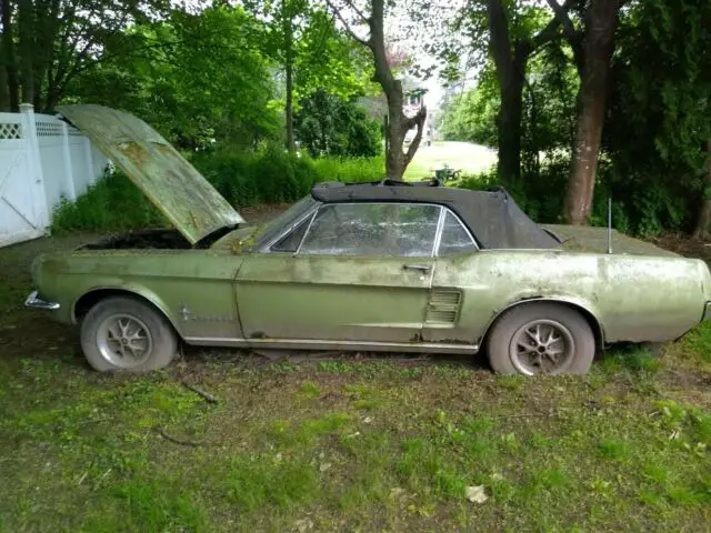 1967 Ford Mustang