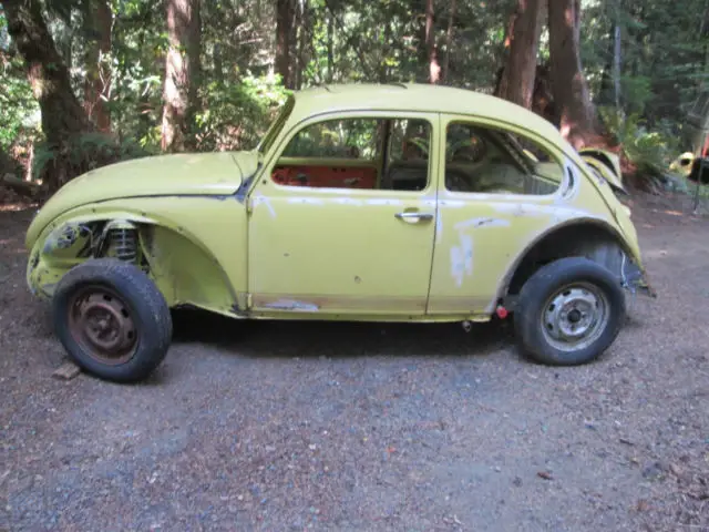 1972 Volkswagen Beetle - Classic Sun Roof