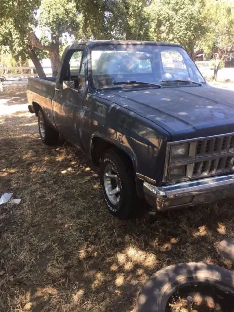 1973 Chevrolet C-10