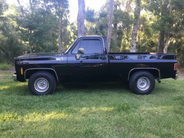 1973 Chevrolet C-10