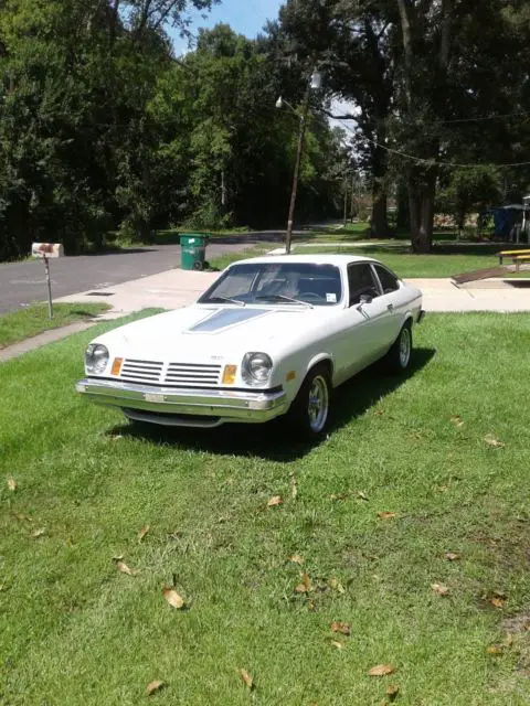 1974 Chevrolet Other Stock interior