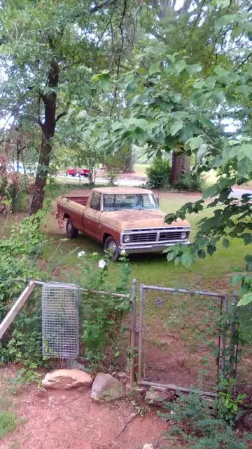 1975 Ford F-100