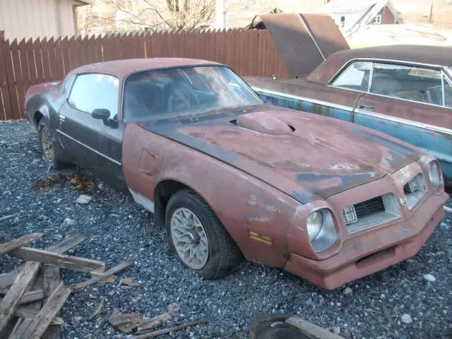 1975 Pontiac Trans Am