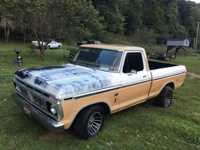 1976 Ford F-100