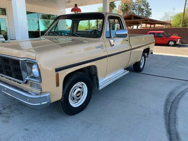 1978 Chevrolet C-10 Scottsale