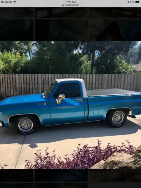 1978 Chevrolet C-10