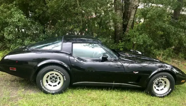 1979 Chevrolet Corvette