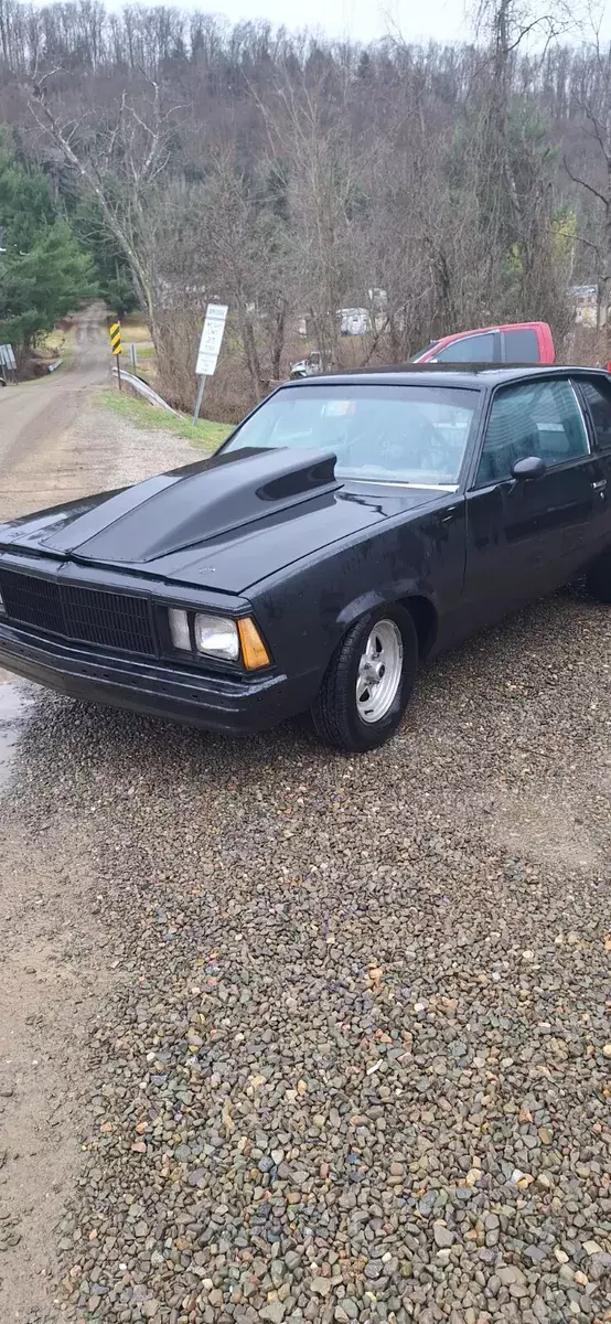 1979 Chevrolet Malibu