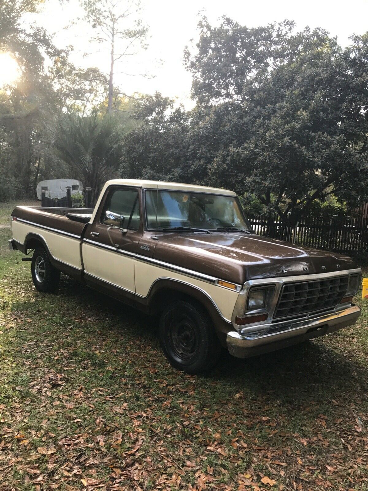 1979 Ford F-150