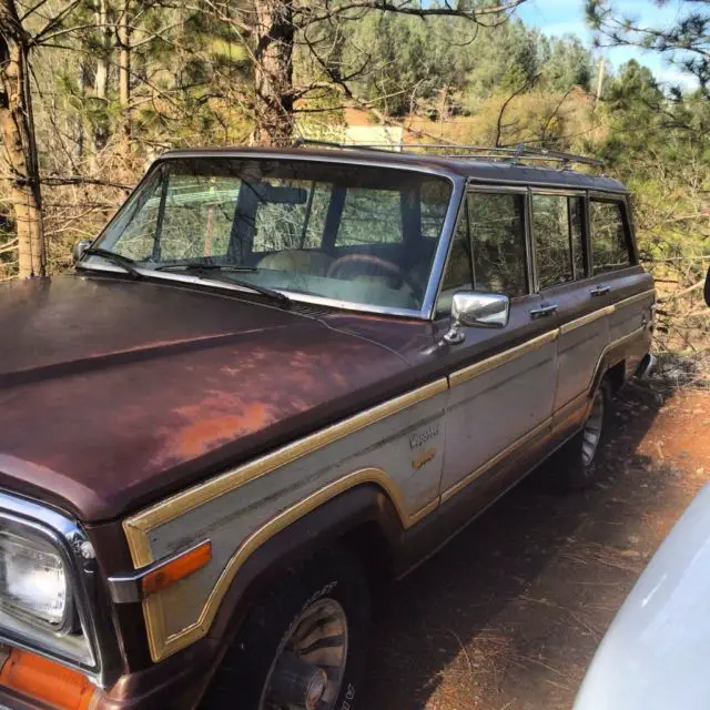 1980 Jeep Wagoneer