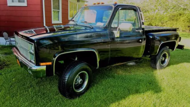 1981 Chevrolet Other Pickups