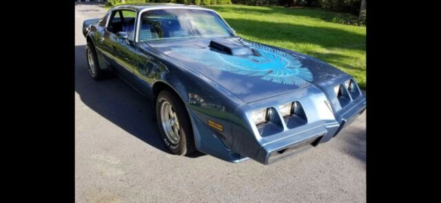 1981 Pontiac Trans Am Trans AM Firebird