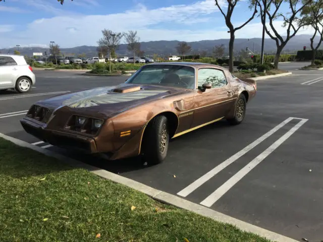 1979 Pontiac Trans Am