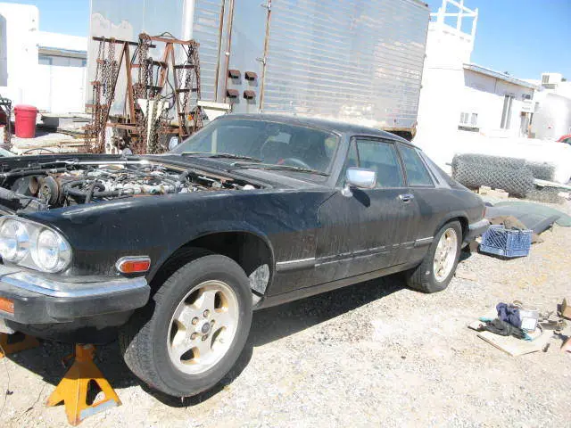 1984 Jaguar XJS 6 SPEED RICHMOND OD TRANSMISSION