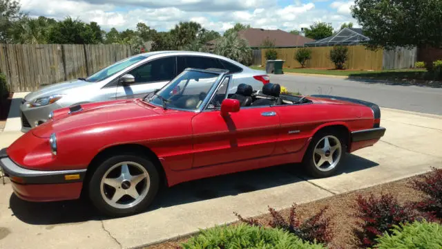 1986 Alfa Romeo Spider