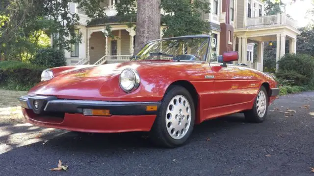 1986 Alfa Romeo Spider