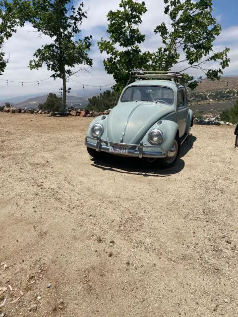 1959 Volkswagen Beetle - Classic