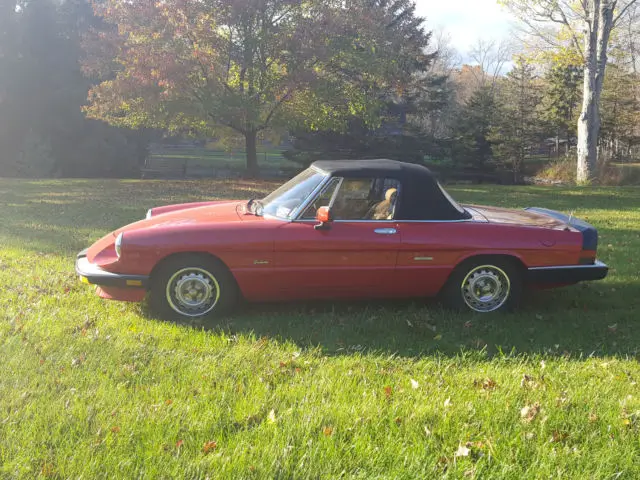 1987 Alfa Romeo Spider