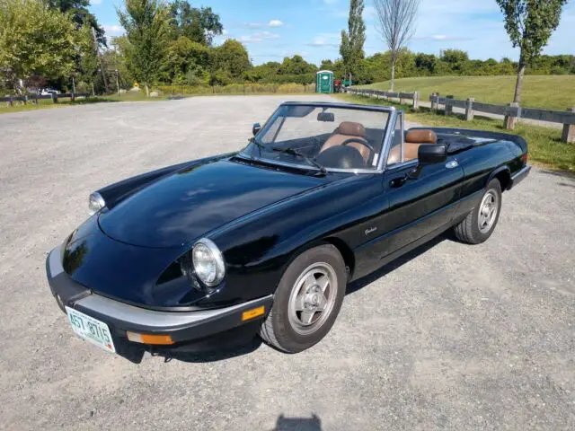 1986 Alfa Romeo Spider