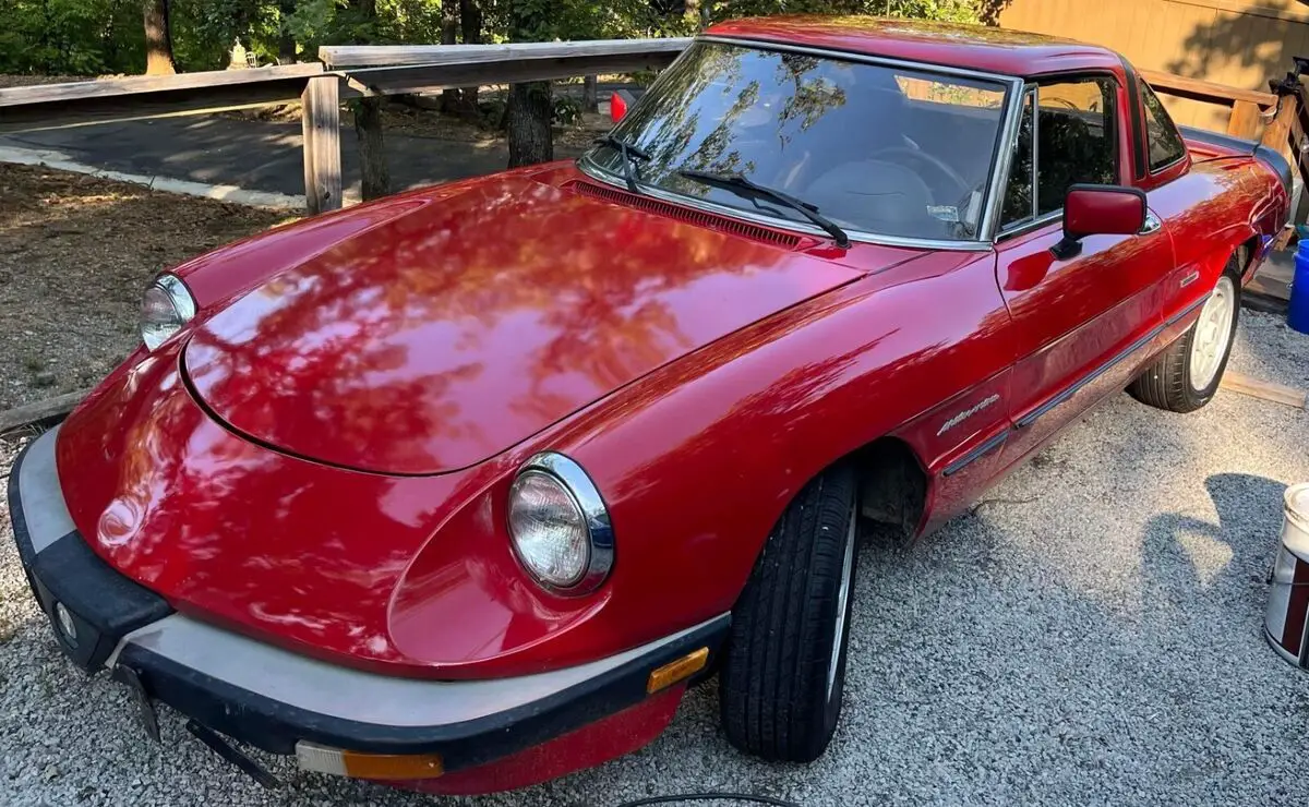 1986 Alfa Romeo Spider 2000 SPIDER