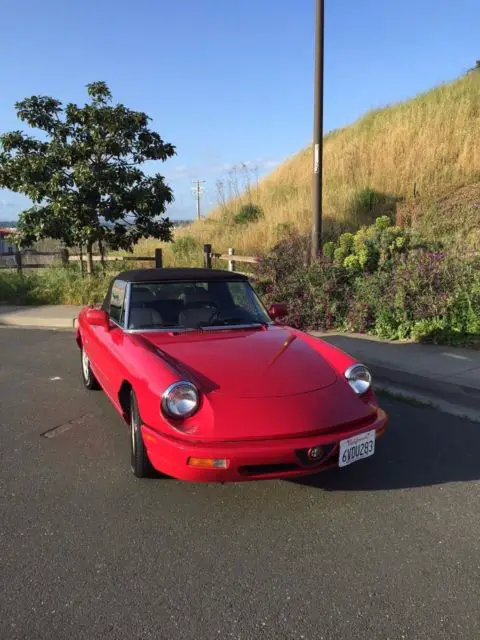 1991 Alfa Romeo Spider